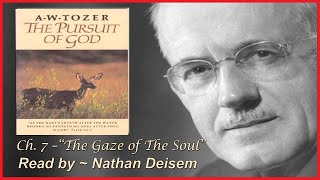 Chapter 7 ~ THE PURSUIT OF GOD ~ A. W. Tozer ~ "The Gaze of The Soul" ~ [Free Audio Book]
