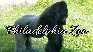 Philadelphia Zoo