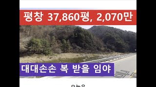 평창 37,860평, 2,070만 (대대손손 복 받을 임야)