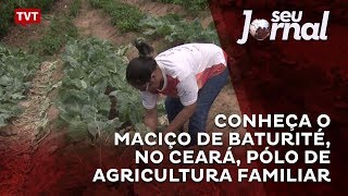 Conheça o Maciço de Baturité, no Ceará, pólo de agricultura familiar