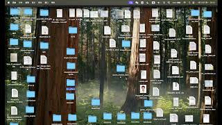 Custom Feature Milestone-Animator and simple Network connection