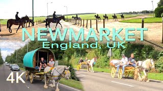 NEWMARKET, England, UK, Road Drive Tour. Race Horses, Racehorse Training Centre.