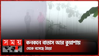 শৈত্য প্রবাহে নাকাল দেশের বিভিন্ন অঞ্চল | Cold Weather | Winter Season | Weather Update | Somoy TV