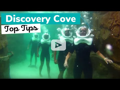 Top Tips For Visiting Discovery Cove Top Tips For Visiting Discovery Cove
