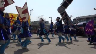 有松藍流祭り2015　日本福祉大学 夢人党