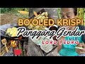 BO'OLED DAN GENDAR KRISPI 🤣🤣❗LORD PEDRO BERSIH-BERSIH DAN NGOPI DI SAUNG SUPA