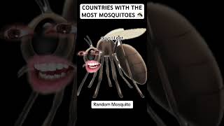 Countries With The Most Mosquitoes 🦟