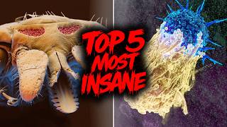 Top 5 INSANE things to look at under a MICROSCOPE!