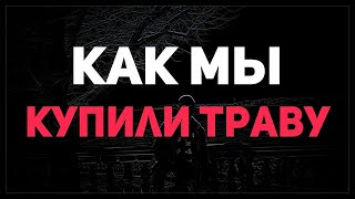 Как Мы Купили Траву