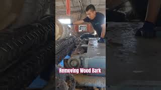 Wood Bark Removing Machine  How Would You Rate this machine?? #woodworking #shorts