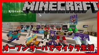 【概要欄に参加手順】オープンサーバでマイクラ生活【java版】