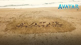 #Avatar: El Camino del Agua  | Intervención en Playa Quintay | Región de Valparaíso