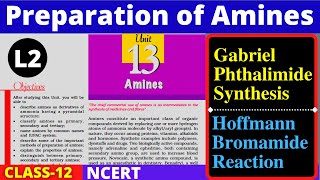 L2 Preparation of Amines | Class 12 | Gabriel Phthalimide Synthesis | Hoffmann Bromamide Reaction