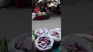 ตลาดไทยอีสาน อุดรฯ