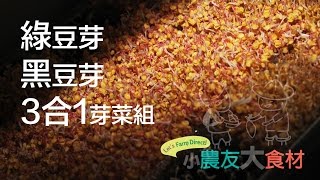 【小農友大食材】綠豆、黑豆、黃豆、3合1、苜蓿...．芽寶寶有機芽菜農場