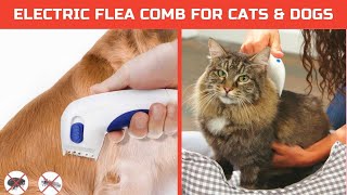 ELECTRIC FLEA COMB FOR CATS \u0026 DOGS [How to Get Rid of Pets Flea Fast]