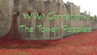 WWI Centenary: The Tower Poppies