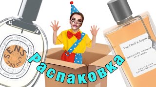 📦 11 НИШЕВЫХ НОВИНОК В КОЛЛЕКЦИИ / распаковка