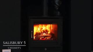 Chesneys Salisbury Wood Burning Stove | The Fireplace Company