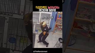 직업만족도 높아보이는 애견미용 알바생 #동물 #유머 #힐링