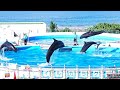 沖縄 美ら海水族館イルカショー okinawa churaumi aquarium dolphin show