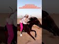 آموزش سوارکاری به صورت ویژه☄️ آموزش تهران اسب horse فرس video jimin love kids upsc music vairal