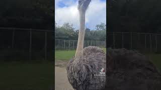Where Are You Coming From