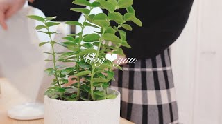 【vlog】バイク\u0026カフェ\u0026観葉植物で癒されるOL休日｜ARABICAコーヒーとカヌレ