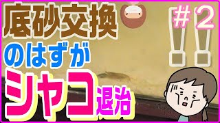 【海水水槽】丸一日かかって底砂交換完了です！！【底砂交換】