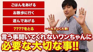 愛犬が言う事きかない！●●をすればもっと仲良くなれます！！