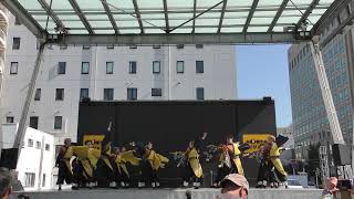 山口大学よさこいやっさん‼︎ 豊の国YOSAKOIまつり祝祭の広場会場「咲遥か」