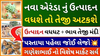 નવા એરંડાનું ઉત્પાદન વધશે તો તેજી અટકશે l arenda na bhav l market bajar bhav l Commodity Trend