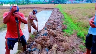 tahap awal pembuatan kolam mina padi