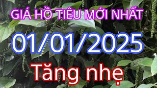 giá Hồ tiêu hôm nay 01/01/2025 giữ đà tăng đầu năm