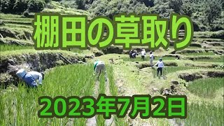 2023年7月2日　棚田の草取り