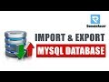 Export and Import MySQL Database from PHPmyAdmin - Complete Backup Guide 2024