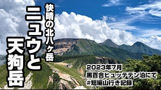 【登山】北八ヶ岳ニュウ、天狗岳　2023年7月　白駒池から黒百合ヒュッテテン泊での周回記録　#短編山行き記録