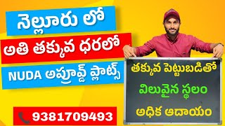 Low Budget NUDA approved plots in Nellore #nellore #nellorerealestate #lowbudget #approved #plots