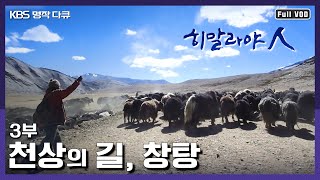 [명작다큐] 마지막 남은 천상의 유목민 창파족 | 히말라야人 3부 천상의 길, 창탕 (KBS 140417 방송)