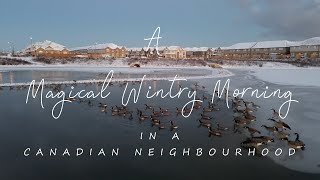 A Magical Wintry Morning in a Canadian Neighbourhood | Hamilton, Ontario