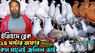 ইতিহাস ব্রেক কোয়ালিটির কবুতর কিনুন || জলিল ভাই মানেই কম দাম || সবচেয়ে কম দামে ফেন্সি কবুতর বিক্রি