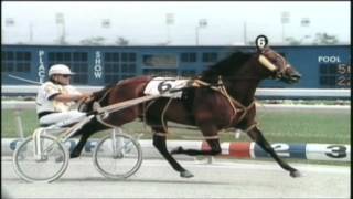 1983 US Pacing Championship - Cam Fella