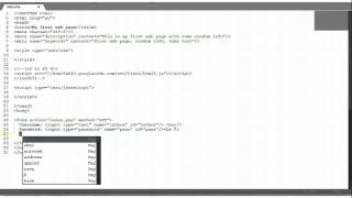 HTML tutorial #3: Text Input Element and Submit Button