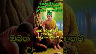 ඔබත් මෙවැනි සත්පුරුෂයෙක්ද?🙏😇 #buddha #budhism #trending #fyp #viralshorts