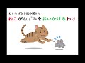 【読み聞かせ】ネコがネズミをおいかけるわけ【むかしばなし】