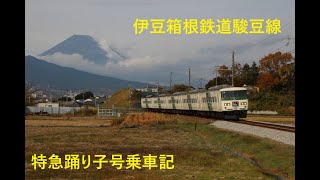 【引退前】185系特急踊り子3号乗車記・伊豆箱根鉄道・おまけつき