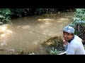 panen strike. mancing pakai buah kelapa sawit. sekali coba pasti ketagihan