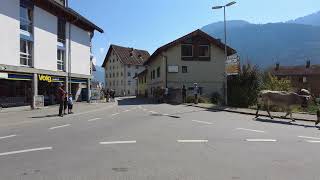 Grüsch Alpabzug - Unbelievable! Alpine Cow Parade - You Won't Believe this old Swiss tradition!🐄🏔️