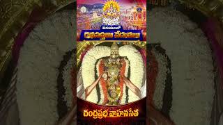 తిరుమలలో రథసప్తమి వేడుకలు  || చంద్రప్రభ వాహనం  || SVBC TTD