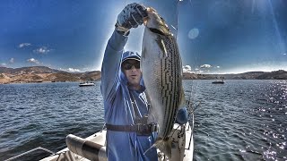 The Hunt For Stripers-Castaic Lake